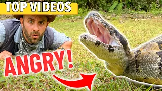 BIG ANGRY SNAKE - Deadliest Job in America + Exploring a Snake Infested Forest!