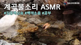 공부 스트레스 풀어지는 계곡물 흐르는 소리 ASMR(5분뒤 소등, 어두운 화면) - 덕유산 독일가문비나무숲 아래 계곡(1시간)