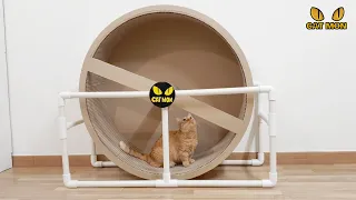 DIY 박스 캣휠 (DIY Cat wheel) | How to make a Cat wheel