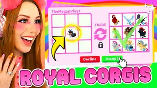 What Is Royal Corgi TRADE Value? Trading Adopt Me Tea Party Update Roblox