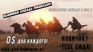 Бесплатные лошади для новичков в RDR2 на ПК! Гайд для новичков №1