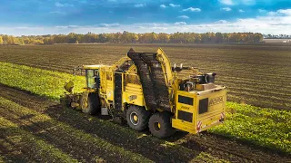 Уборка свеклы, Харьковская область