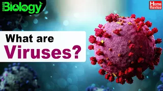 What are Viruses? | Diseases Cause & Control | Part III | Home Revise