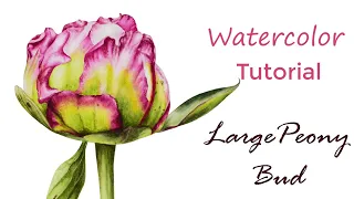 Peony Watercolor Tutorial - painting the details