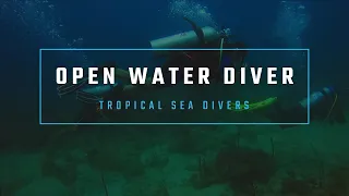 OPEN WATER DIVER COURSE (PADI)  TROPICAL SEA DIVERS, BOCA CHICA DOMINICAN REPUBLIC