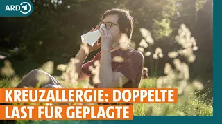 Kreuzallergie: Allergisch gegen Pollen und Lebensmittel | ARD GESUND