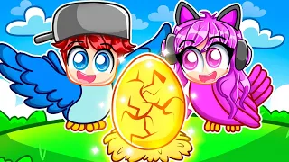 Hatching The BIGGEST EGG in Roblox BIRD FAMILY…