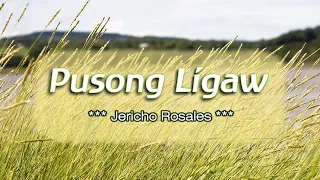 Pusong Ligaw - KARAOKE VERSION - as popularized by Jericho Rosales