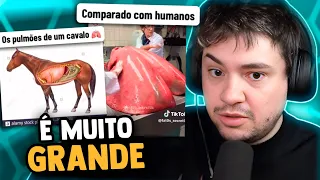 COISAS QUE SÃO MAIORES DO QUE VOCÊ IMAGINAVA!