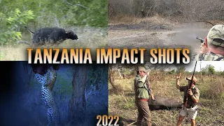 Impact Shots 2022 - Tanzania