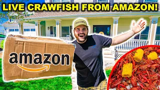 I Bought LIVE CRAWFISH from AMAZON!! (Crawfish Boil Challenge)