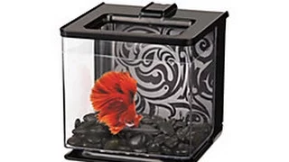 REVIEW Marina Betta EZ Care  Aquarium Kit