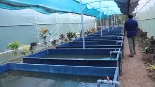 A Video Tour of The Still Water Aquatic's Aquatic Plant Farm