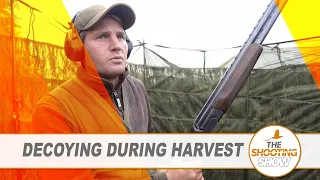 The Shooting Show - Flighting and decoying over rape stubbles PLUS rabbiting with a 17HMR