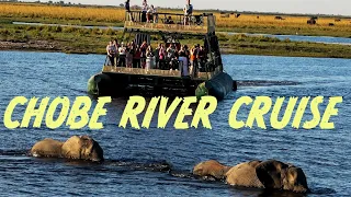 Chobe River Boat Cruise | Chobe National Park Kasane, Botswana