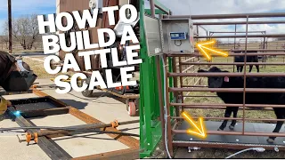 How to Build a Livestock Scale from Amazon - Easily Weigh Cattle