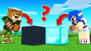 MINECRAFT mas TODO BLOCO COLOCADO É DIFERENTE!?