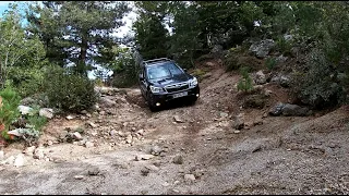 TSFJO 4x4. Corsica. Subaru Forester Off road. Mountain paths and forests.