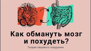 Как похудеть? Почему не получается? Теория пищевого поведения.