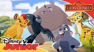 The Lion Guard Music Video - Bird of a 1000 Voices