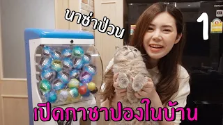 สุ่มกาชาปองในบ้านตัวเอง