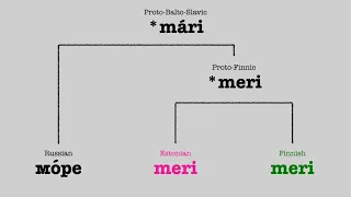 Uralic Languages Comparison: Nature