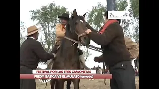 FREDY GATICA VS EL "MULATO" DE (LUIS AMADO)