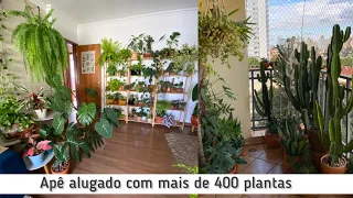 Apartamento alugado de 108m2  e urban jungle (selva urbana) com mais de 400 plantas