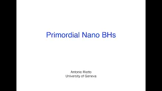 Primordial Nano Black Holes