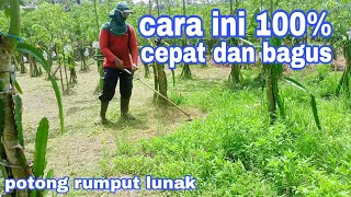 POTONG RUMPUT YANG LUNAK