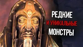 Skyrim Редкие и Уникальные Монстры, Существа и Противники, О которых вы могли не знать