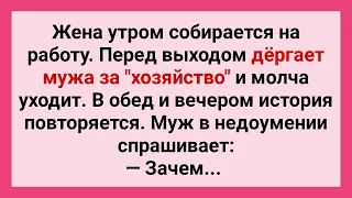 Жена Дергает Мужа за Хозяйство! Сборник Смешных Свежих Жизненных Анекдотов для Настроения!