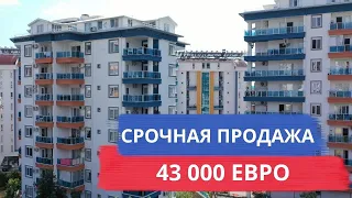 Недвижимость в Турции 2020. Горячее предложение! Квартира в Алании за 43000 евро!