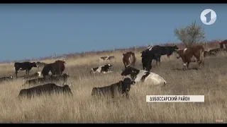 Первые дотации получили производители молока из Дубоссар