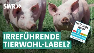 Unser Fleisch, unsere Milch - Was taugen Lebensmittelsiegel? | SWR Doku