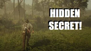 Five Hidden MISSABLE SECRETS Found in Red Dead Redemption 2!