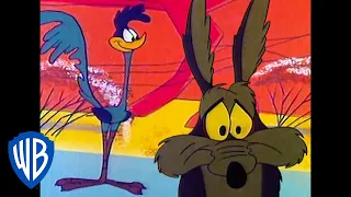 Looney Tunes | 99 Ways to Catch Road Runner | Classic Cartoon | WB Kids