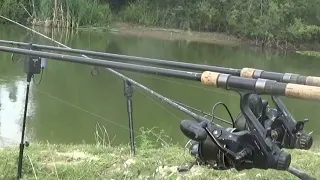 2 insane carp runs