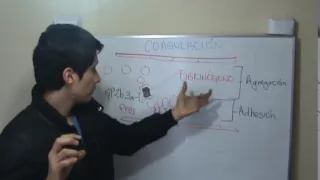 COAGULACIÓN Parte 1 de 3 (Curso Completo, Ver Descripción)