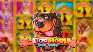 ЭТА ДОРОГАЯ БОНУСКА ДАЛА СЛИШКОМ МНОГО В DOG HOUSE DICE (ЭПИЧНО)🔥