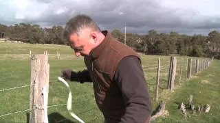 How to Build an O'Briens Electric Fence for sheep