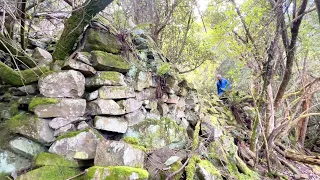 Re-Discovering the Lost Temple of Tasmania