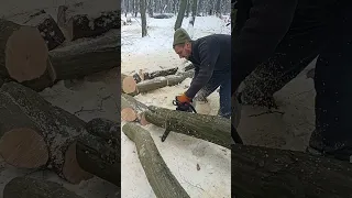 Підписник ріже моїм STIHL 260.