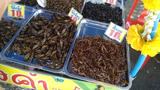 Игорёк ест тараканов в Таиланде