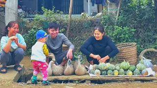 Journey to harvest pumpkins and geese to sell.  Grow lots of high-yielding ginger