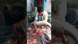 Amazing Huge Grass Carp Fish Cutting Live || Fish Cutting Skills || #shorts #fh_fish_cutting