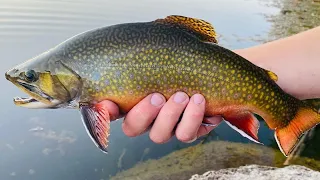 Fly fishing, hiking, and off-roading alpine lakes. (Utah high country)