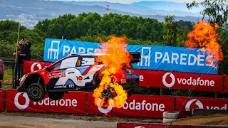 WRC Rally Portugal 2024 | SHAKEDOWN HIGHLIGHTS & ALL CARS | Maximum Attack Big Jumps | Full HD