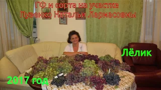 Лёлик виноград (Пузенко Наталья Лариасовна)