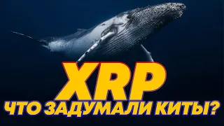 RIPPLE XRP: НЕ ПАРЬТЕСЬ О КИТАХ, СЕЙЧАС ОНИ НА НАШЕЙ СТОРОНЕ? НОВОСТИ И АНАЛИТИКА РИППЛ РИПЛ